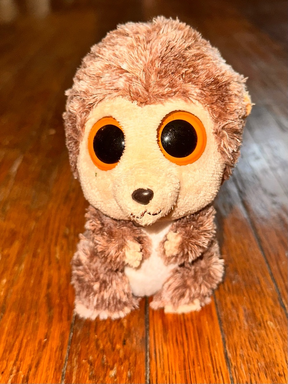TY Spike Beanie Boo Hedgehog Stuffed Animal
